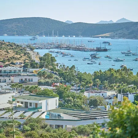 Degirmenburnu Bodrum